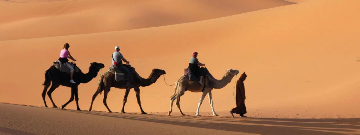 Hobbytrainingen, talen, Overige talen. Leer de golf Arabische taal met een taalcursus van Laudius. Leer Golf Arabisch spreken, lezen en schrijven.