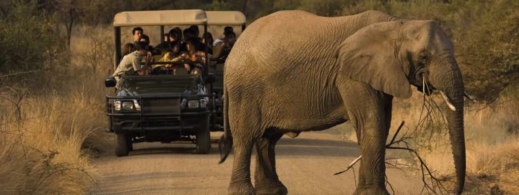 Laudius – Afrikaans voor beginners