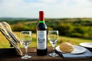 Hobbytrainingen, in de keuken, Bartender. Leer hoe je de lekkerste Italiaanse wijn maakt met een cursus Italiaanse wijn van de Cooking academy.