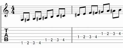 Hobbytrainingen, muzikale cursussen, instrumenten. Leer notenlezen, zo kun jij snel elk liedjes spelen.