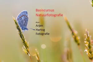 Hobbytrainingen, creatieve cursussen, foto en video. Leer hoe je de natuur het best in beeld krijgt met een natuurfotografie cursus.