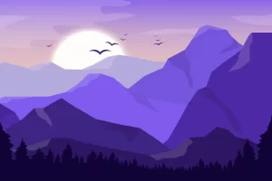 Hobbytrainingen, creatieve cursussen, foto en video. Ontwikkel jouw grafische ontwerp skills door kennis te nemen van Photoshop en InDesign.
