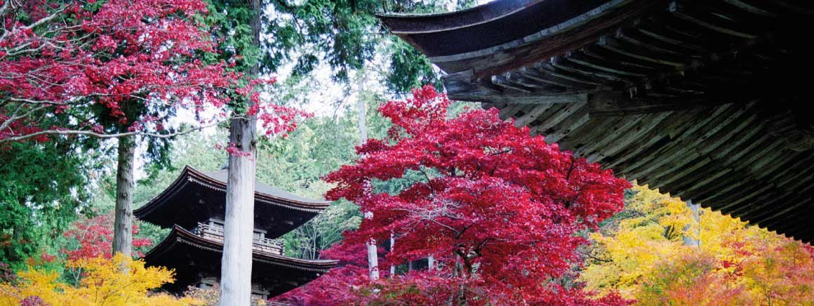 Hobbytrainingen, talen, Aziatische talen. Leer de Japanse taal met een taalcursus van Laudius. Leer Japans spreken, lezen en schrijven.